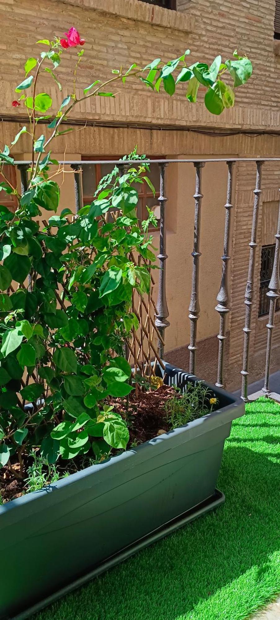 Apartament Tudela Zewnętrze zdjęcie